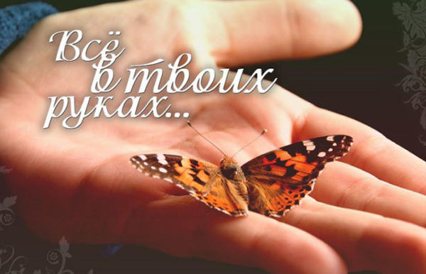притча о бабочке: все в твоих руках