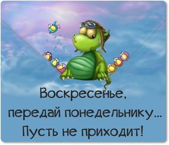 https://myhohmas.ru/wp-content/uploads/2018/09/prikolnaya-cherepaha.jpg