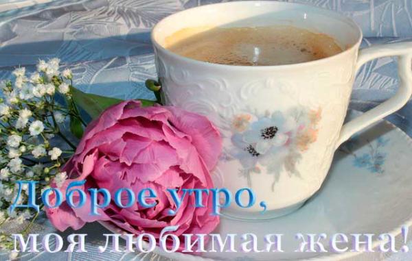 чашка с кофе и роза