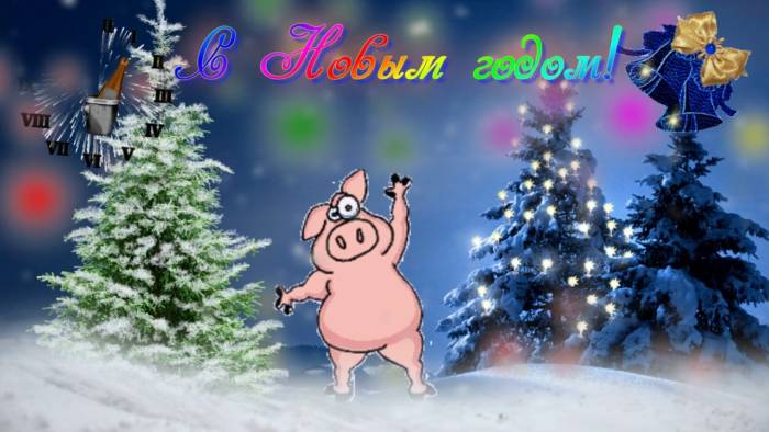 свинья и новый год